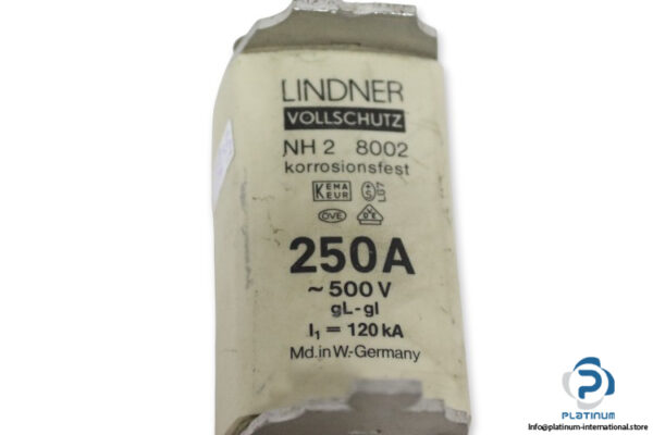 lindner-NH2-8002-gl-gi-250a-fuse-link-(Used)-1