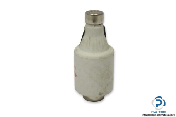 lindner-597.0168-GR-16a-bottle-fuse-link-(New)