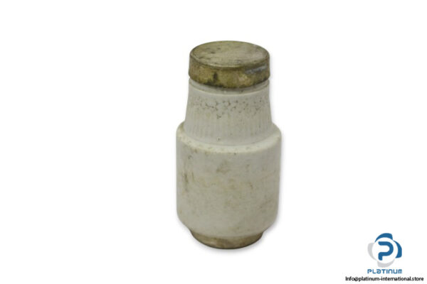 siemens-5SB4-31-63a-bottle-fuse-link-(New)