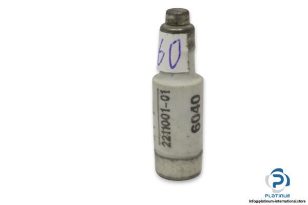 eti-2211001-01-gl-2a-bottle-fuse-link-(New)-3