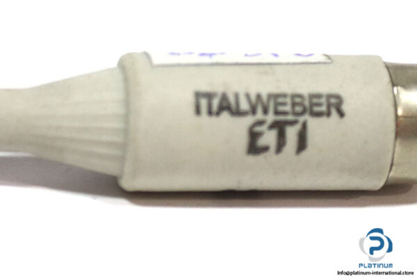 italweber-2311103-01-6a-bottle-fuse-link-(Used)-1