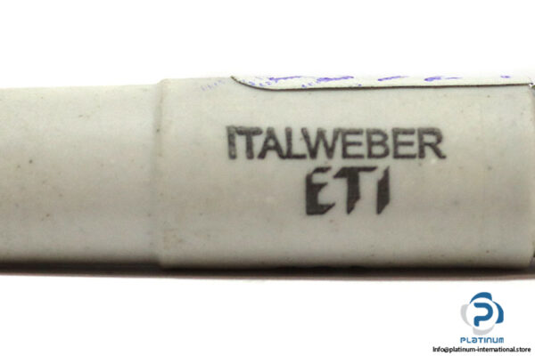 italweber-2311106-01-20a-bottle-fuse-link-(New)-1