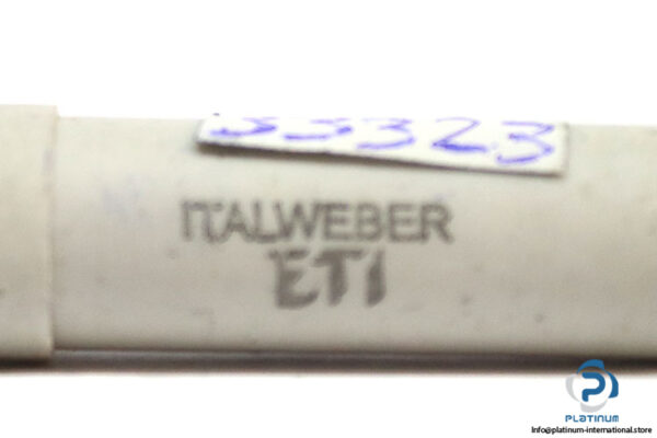 italweber-2311107-01-25a-bottle-fuse-link-(Used)-1