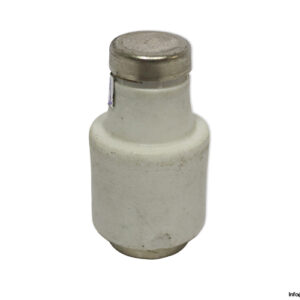 original-diazed-5SB42-50a-500v-bottle-fuse-link(used)