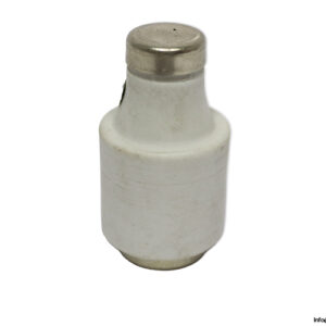 original-diazed-5SB.41-35A-500V-GL-GI-bottle-fuse-link(new)