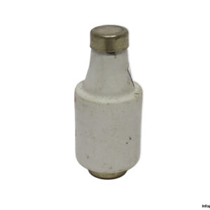original-diazed-20A-500V-bottle-fuse-link(new)