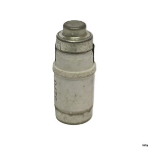 lindner-1701.035-GL-GG-35a-bottle-fuse-link-(New)