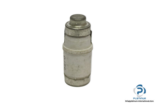 lindner-1701.035-GL-GG-35a-bottle-fuse-link-(New)
