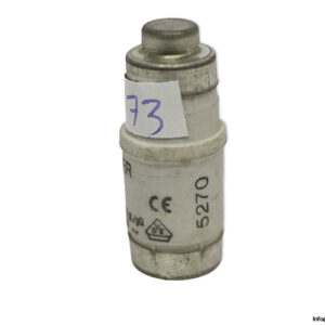lindner-1701.035-GL-GG-35a-bottle-fuse-link-(New)-2