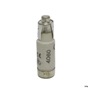 lindner-1700.010-GL-GG-10a-bottle-fuse-link-(New)