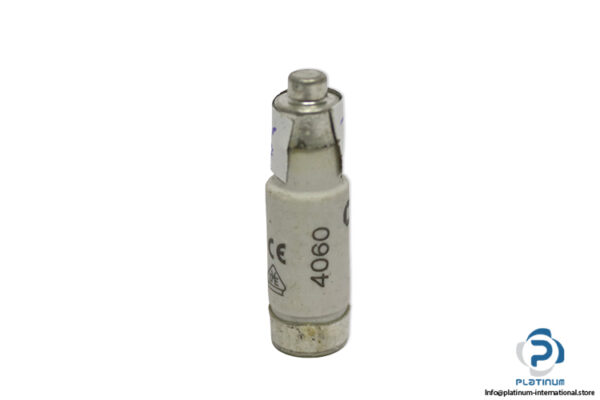 lindner-1700.010-GL-GG-10a-bottle-fuse-link-(New)