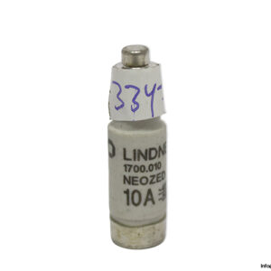 lindner-1700.010-GL-GG-10a-bottle-fuse-link-(New)-1