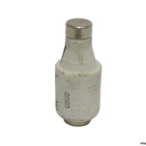 lindner-597.0207-DII-GL-GG-20a-bottle-fuse-link-(Used)