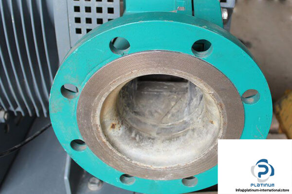 netzsch-t-envi-08_100-bd-e-rotary-lobe-pump-6