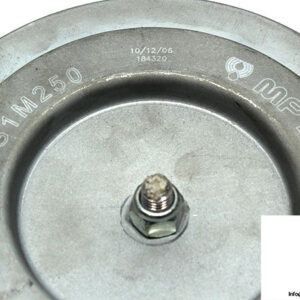 mp-filtri-mpm220g1m250-replacement-filter-element-2