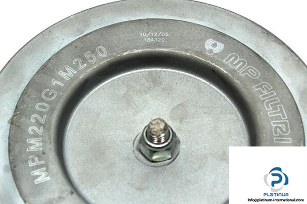 mp-filtri-mpm220g1m250-replacement-filter-element-2