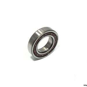 fag-6006.p63-deep-groove-ball-bearing