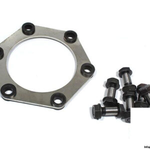 flender-AN-4200-DE-08.04-coupling-plate-pack