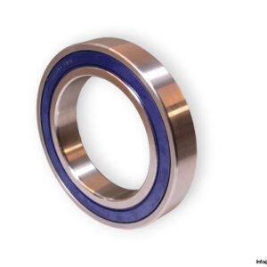 S6017RS-deep-groove-ball-bearing