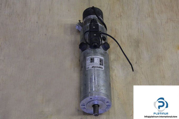 siboni-75pm137tg10-tkm73-10-conn-permanent-magnets-dc-motor-with-encoder-1