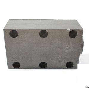 flutec-rvp-20-01-1-check-valve-1