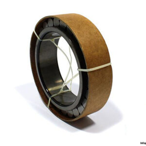 ina-RSL183020-A-cylindrical-roller-bearing