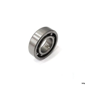 hch-6004-ball-bearing