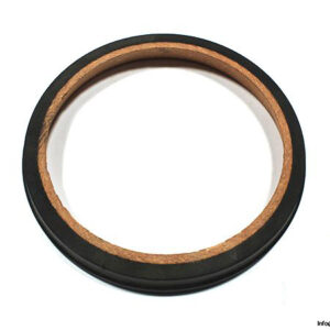 demag-RIW-613-654-brake-ring