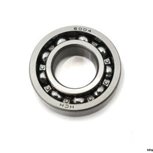 hch-6004-ball-bearing-1