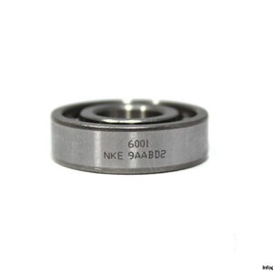 nke-6001-ball-bearing-1