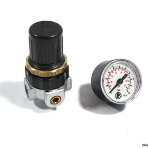 Riegler-482.20-C-pressure-regulator