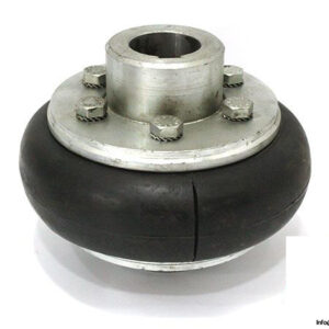 stromag-periflex-214-r-pna-40-shaft-coupling-5