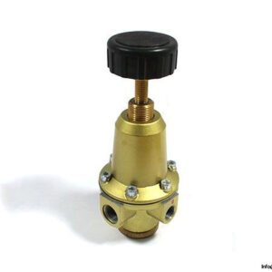 riegler-737-312-pressure-regulator-1