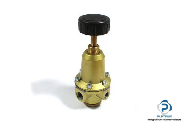 riegler-737-312-pressure-regulator-1