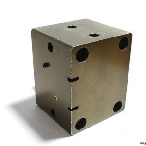 vega-ce10020pisacn-hydraulic-block-cylinder-2