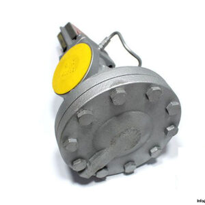 spirax-sarco-dp-17s-17-bar-pressure-reducing-valve-4