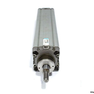 univer-rt2230500476l-tellescopic-pneumatic-cylinder-1