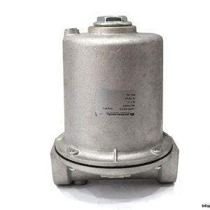 giuliani-001.0142.012-strainer-filter