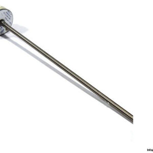 eh-2xPT100-3L-temperature-sensor-pt100