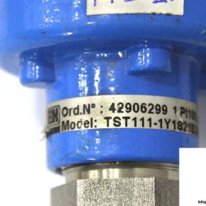 eh-tst111-1y1s21b3a1-temperature-sensor-pt100-2