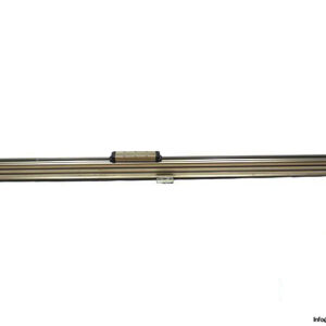 univer-S1011321200-rodless-cylinder