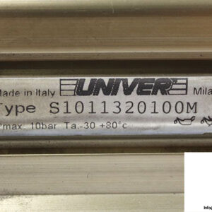 univer-s1011320100m-rodless-cylinder-3