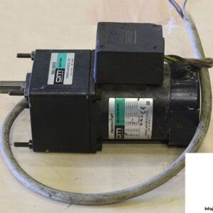 om-5IK60GU-CWT-induction-motor