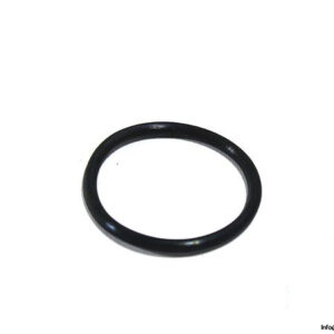 videojet-500-0031-250-o-ring-(20.4_1.78)