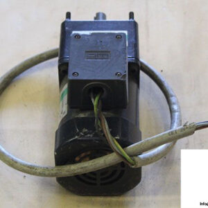 om-5ik60gu-cwt-induction-motor-2