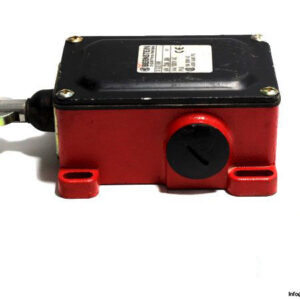 bernstein-d-su2-rw-double-limit-switch-3