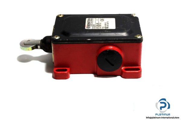 bernstein-d-su2-rw-double-limit-switch-3