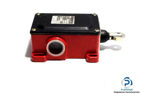 bernstein-d-su2-rw-double-limit-switch-4