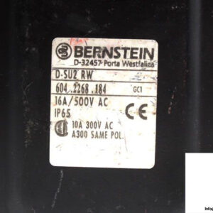 bernstein-d-su2-rw-double-limit-switch-5