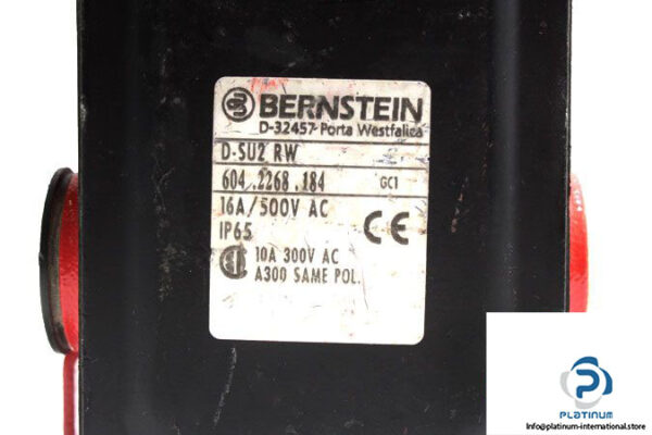 bernstein-d-su2-rw-double-limit-switch-5